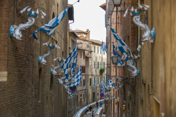 Contrada Dinner - Image 3